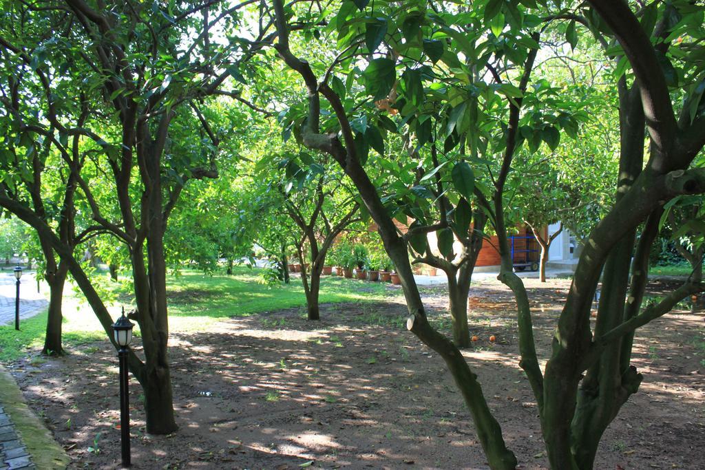 Yildiz Pension Bungalows Çıralı Εξωτερικό φωτογραφία