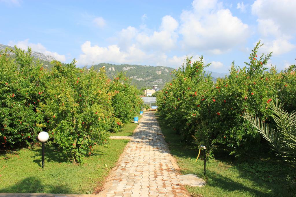 Yildiz Pension Bungalows Çıralı Εξωτερικό φωτογραφία