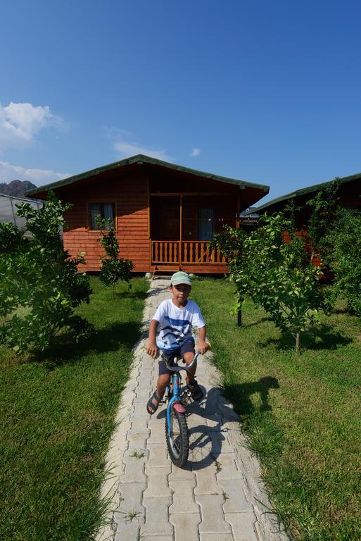 Yildiz Pension Bungalows Çıralı Δωμάτιο φωτογραφία