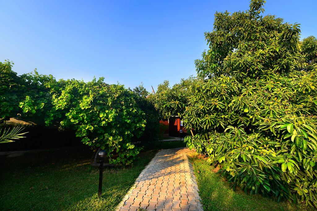 Yildiz Pension Bungalows Çıralı Εξωτερικό φωτογραφία