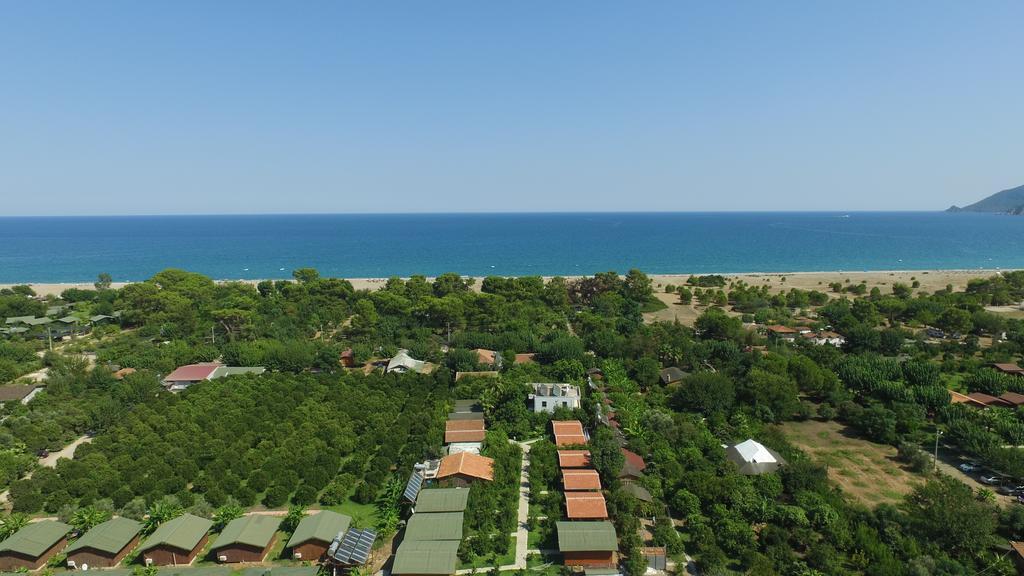 Yildiz Pension Bungalows Çıralı Εξωτερικό φωτογραφία
