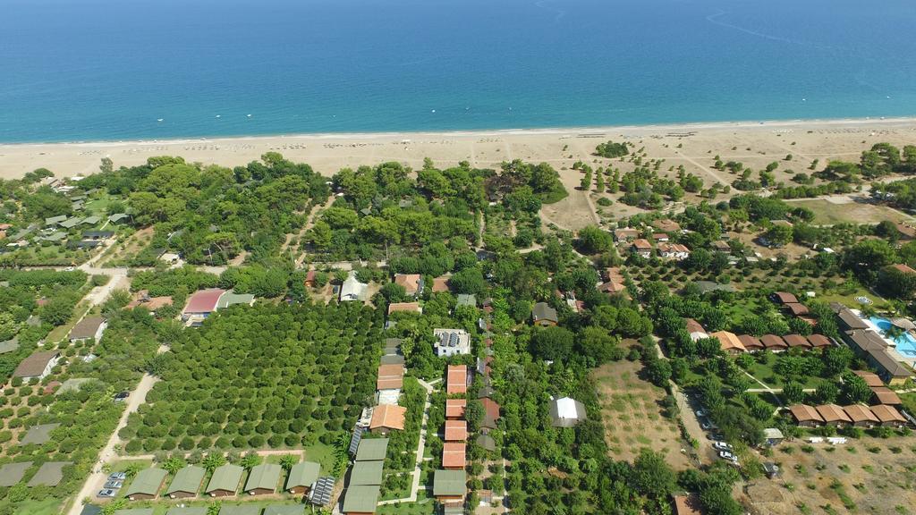 Yildiz Pension Bungalows Çıralı Εξωτερικό φωτογραφία