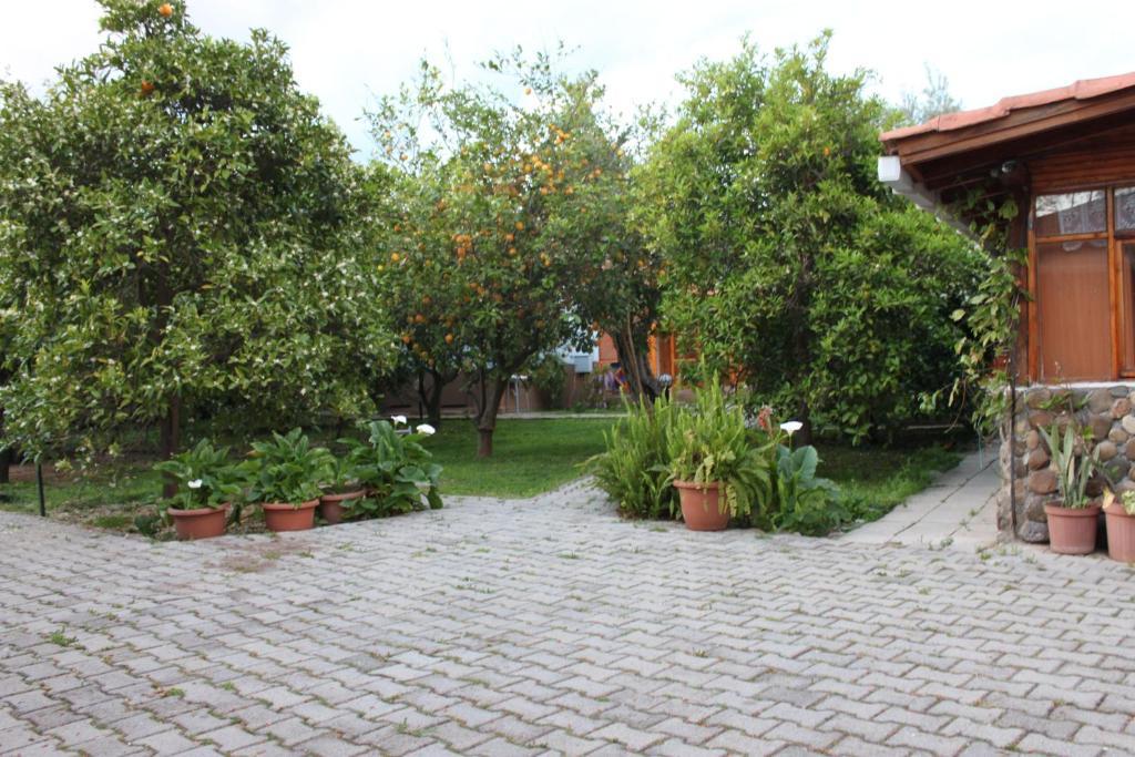 Yildiz Pension Bungalows Çıralı Εξωτερικό φωτογραφία